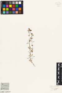 SW_BNB_s3010-06845_IMG-0000000001