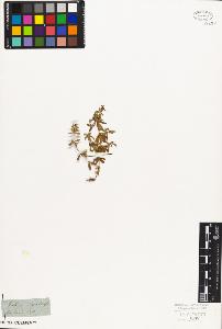 SW_BNB_s3010-06847_IMG-0000000001