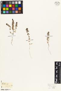 SW_BNB_s3010-06851_IMG-0000000001