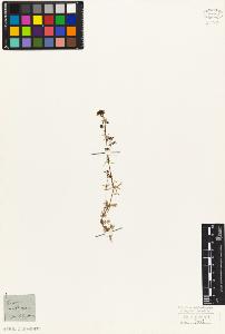 SW_BNB_s3010-06852_IMG-0000000001