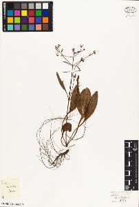 SW_BNB_s3010-06855_IMG-0000000001