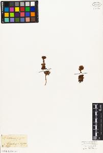 SW_BNB_s3010-06857_IMG-0000000001