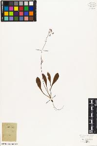 SW_BNB_s3010-06859_IMG-0000000001