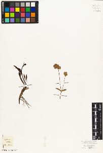 SW_BNB_s3010-06860_IMG-0000000001