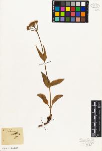 SW_BNB_s3010-06864_IMG-0000000001