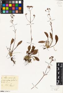 SW_BNB_s3010-06868_IMG-0000000001