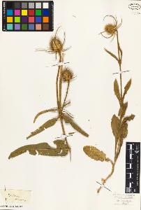 SW_BNB_s3010-06870_IMG-0000000001