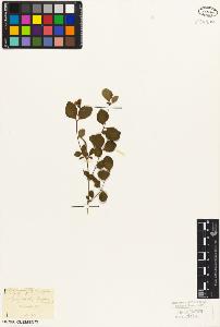 SW_BNB_s3010-06874_IMG-0000000001