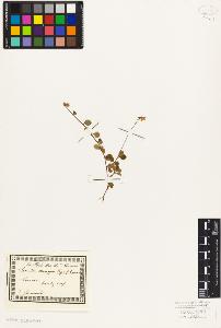 SW_BNB_s3010-06875_IMG-0000000001