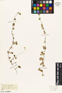 SW_BNB_s3010-06877_IMG-0000000001