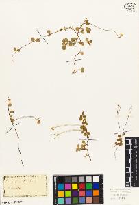 SW_BNB_s3010-06879_IMG-0000000001