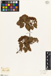 SW_BNB_s3010-06882_IMG-0000000001
