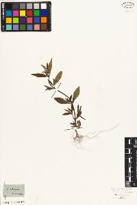 SW_BNB_s3010-06883_IMG-0000000001