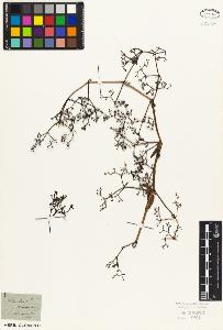 SW_BNB_s3010-06887_IMG-0000000001