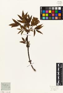 SW_BNB_s3010-06893_IMG-0000000001
