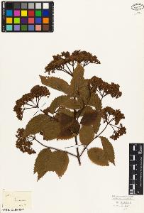 SW_BNB_s3010-06901_IMG-0000000001