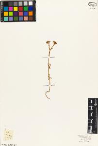 SW_BNB_s3010-06906_IMG-0000000001
