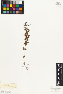 SW_BNB_s3010-06913_IMG-0000000001