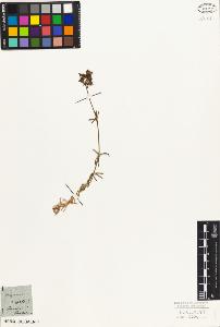 SW_BNB_s3010-06915_IMG-0000000001