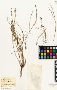 SW_BNB_s3010-06916_IMG-0000000001