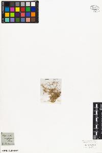 SW_BNB_s3010-06921_IMG-0000000001