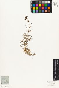 SW_BNB_s3010-06922_IMG-0000000001