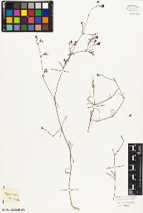 SW_BNB_s3010-06923_IMG-0000000001
