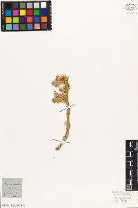 SW_BNB_s3010-06924_IMG-0000000001