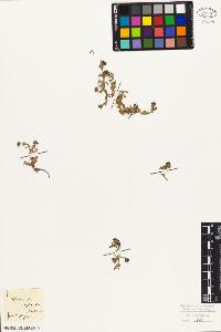 SW_BNB_s3010-06925_IMG-0000000001