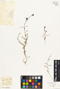 SW_BNB_s3010-06927_IMG-0000000001