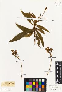SW_BNB_s3010-06934_IMG-0000000001