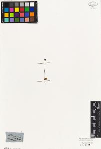 SW_BNB_s3010-06936_IMG-0000000001