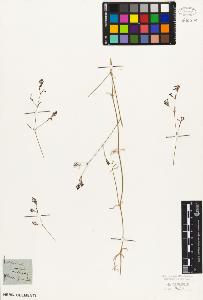 SW_BNB_s3010-06939_IMG-0000000001