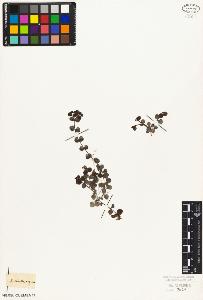 SW_BNB_s3010-06947_IMG-0000000001