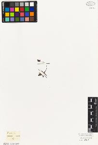 SW_BNB_s3010-06955_IMG-0000000001