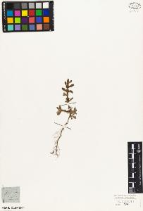 SW_BNB_s3010-06961_IMG-0000000001