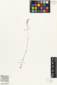SW_BNB_s3010-06966_IMG-0000000001