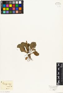 SW_BNB_s3010-06971_IMG-0000000001