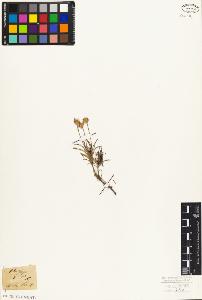 SW_BNB_s3010-06977_IMG-0000000001