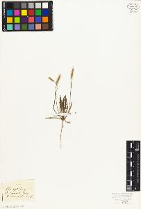 SW_BNB_s3010-06982_IMG-0000000001