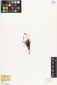 SW_BNB_s3010-06986_IMG-0000000001