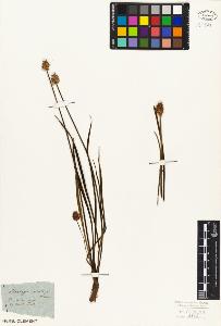 SW_BNB_s3010-06989_IMG-0000000001