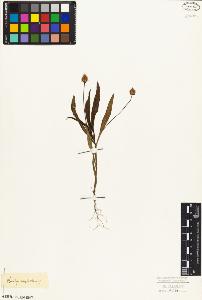 SW_BNB_s3010-06990_IMG-0000000001