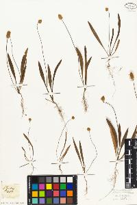SW_BNB_s3010-06991_IMG-0000000001