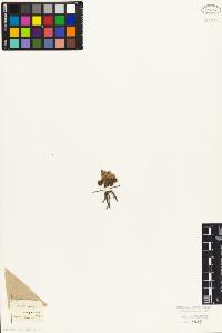 SW_BNB_s3010-06992_IMG-0000000001