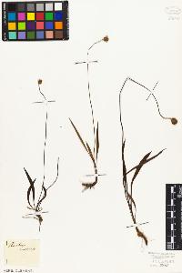 SW_BNB_s3010-06993_IMG-0000000001