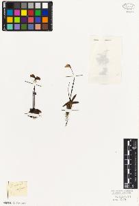 SW_BNB_s3010-07002_IMG-0000000001