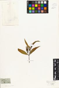 SW_BNB_s3010-07006_IMG-0000000001