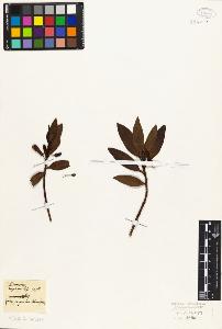 SW_BNB_s3010-07017_IMG-0000000001