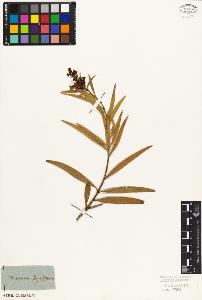 SW_BNB_s3010-07018_IMG-0000000001